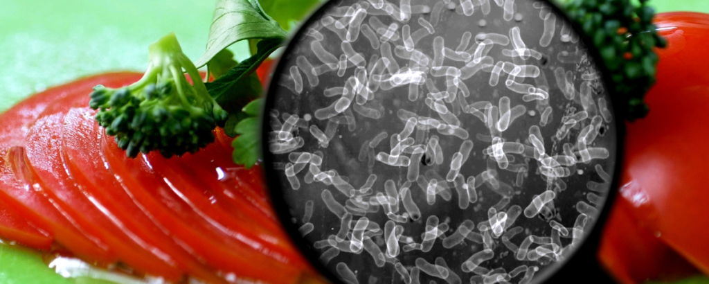 Mikrobiologinė tarša yra dažniausia apsinuodijimo maistu priežastis. Kokie faktoriai, daro įtaką mikroorganizmų dauginimąsi ir išlikimą?