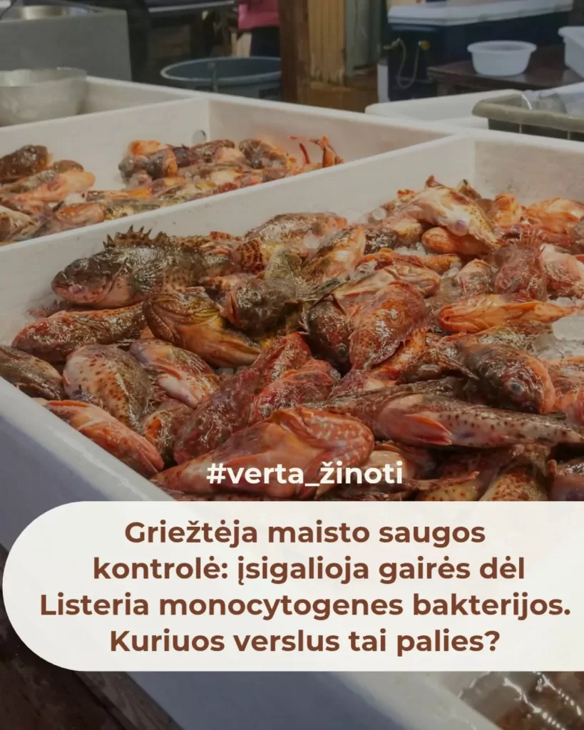 Atnaujintos Listeria gairės: kas keičiasi maisto tvarkymo subjektams nuo 2026 m.?
